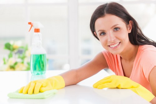 Facade cleaning service for a property exterior in Utton