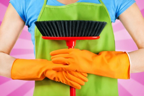 Cleaner dusting and vacuuming in a Utton property