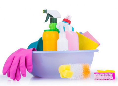 Professional pet stain odour removal treatment for a carpet in Utton