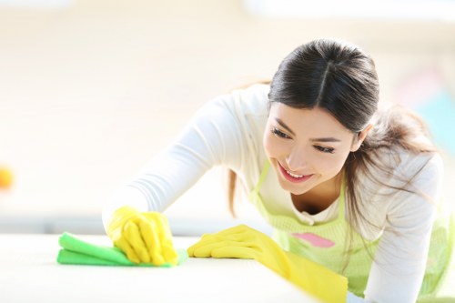 Deep cleaning details in an Utton property