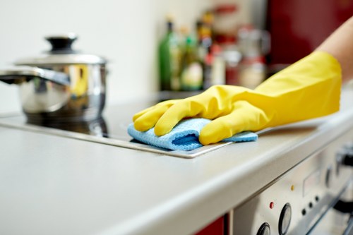 Domestic regular cleaning in Utton for busy households