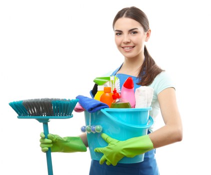 Deep cleaning process for removing pet urine smells from a local home